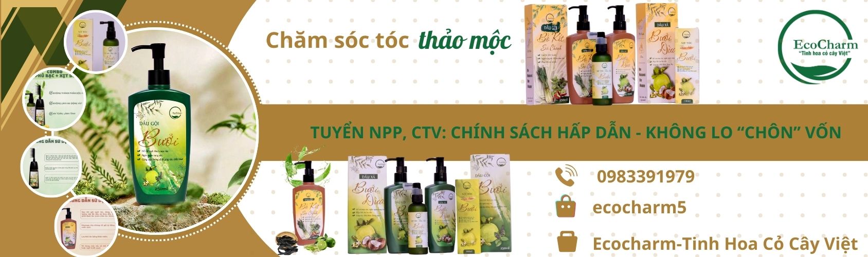 Tuyển NPP CTV
